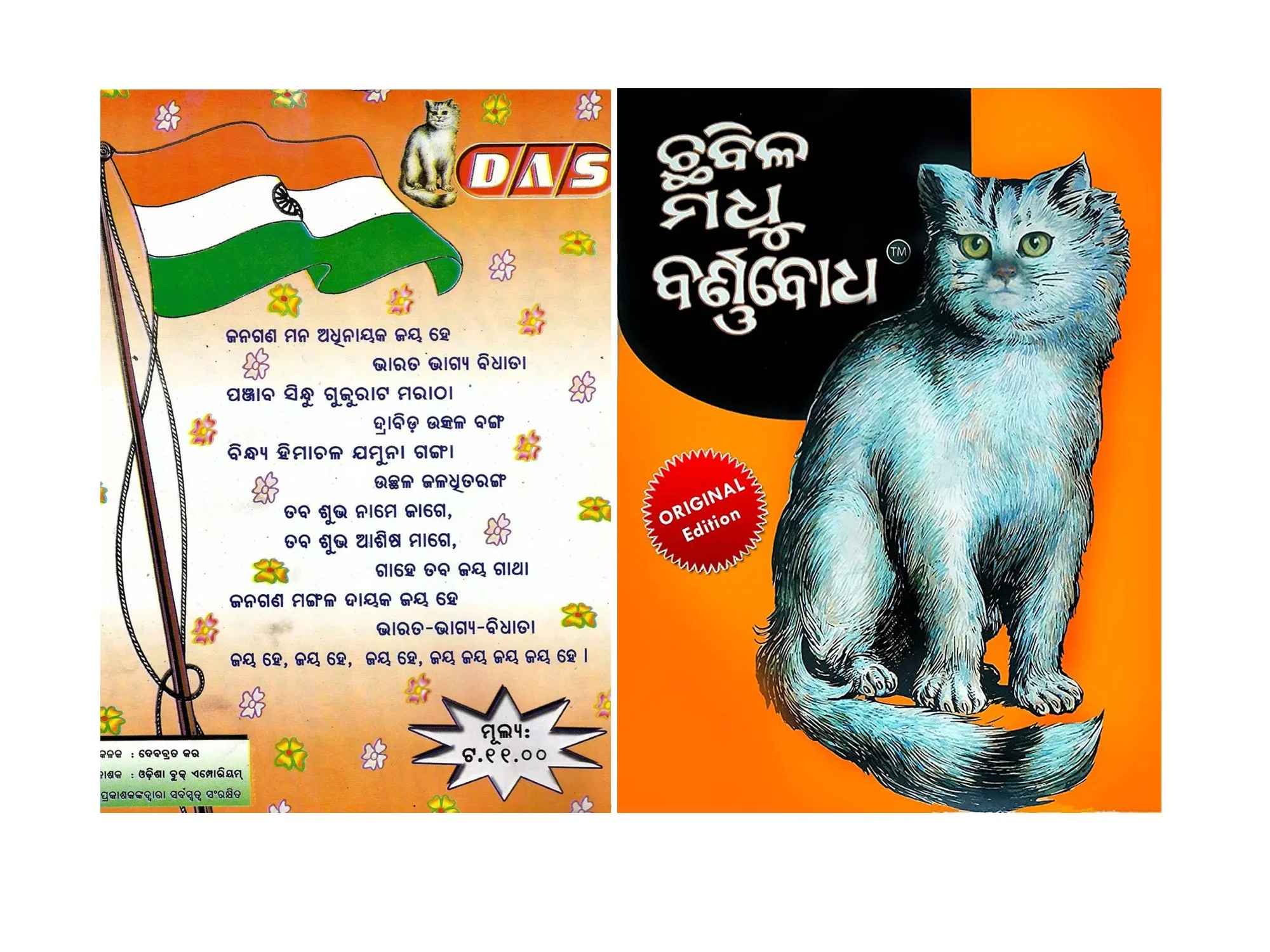 Why a picture of a cat in Chhabila Madhu Barnabodha?