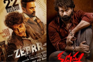 zebra is all set to blast in telgu industry, know when or and where to watch this crime thriller