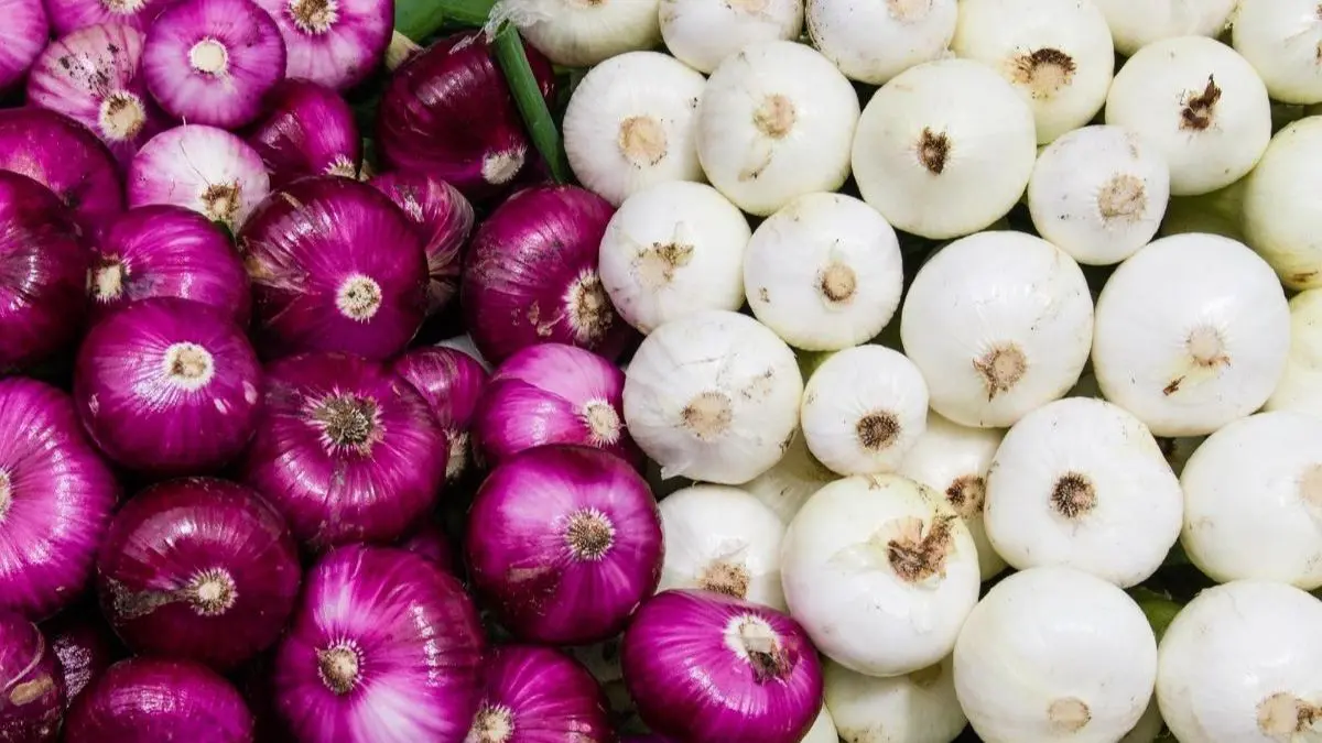 White onion or red onion! Which onion is better to eat?