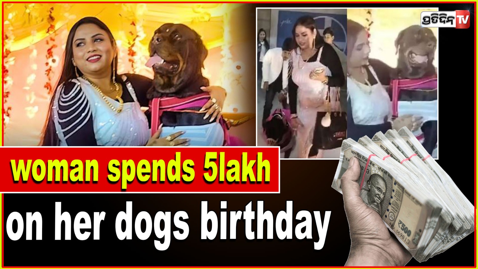 women celebrate dog's birthday and spend 5 lakhs rupees