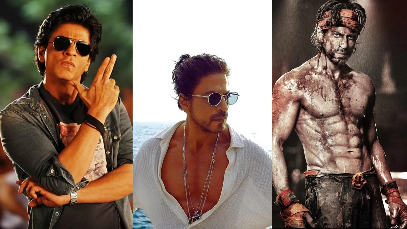 Shahrukh Khan's Top 3 Highest Collection Movie