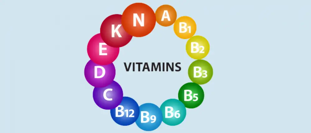 What are vitamins, and what is the function of which vitamin?