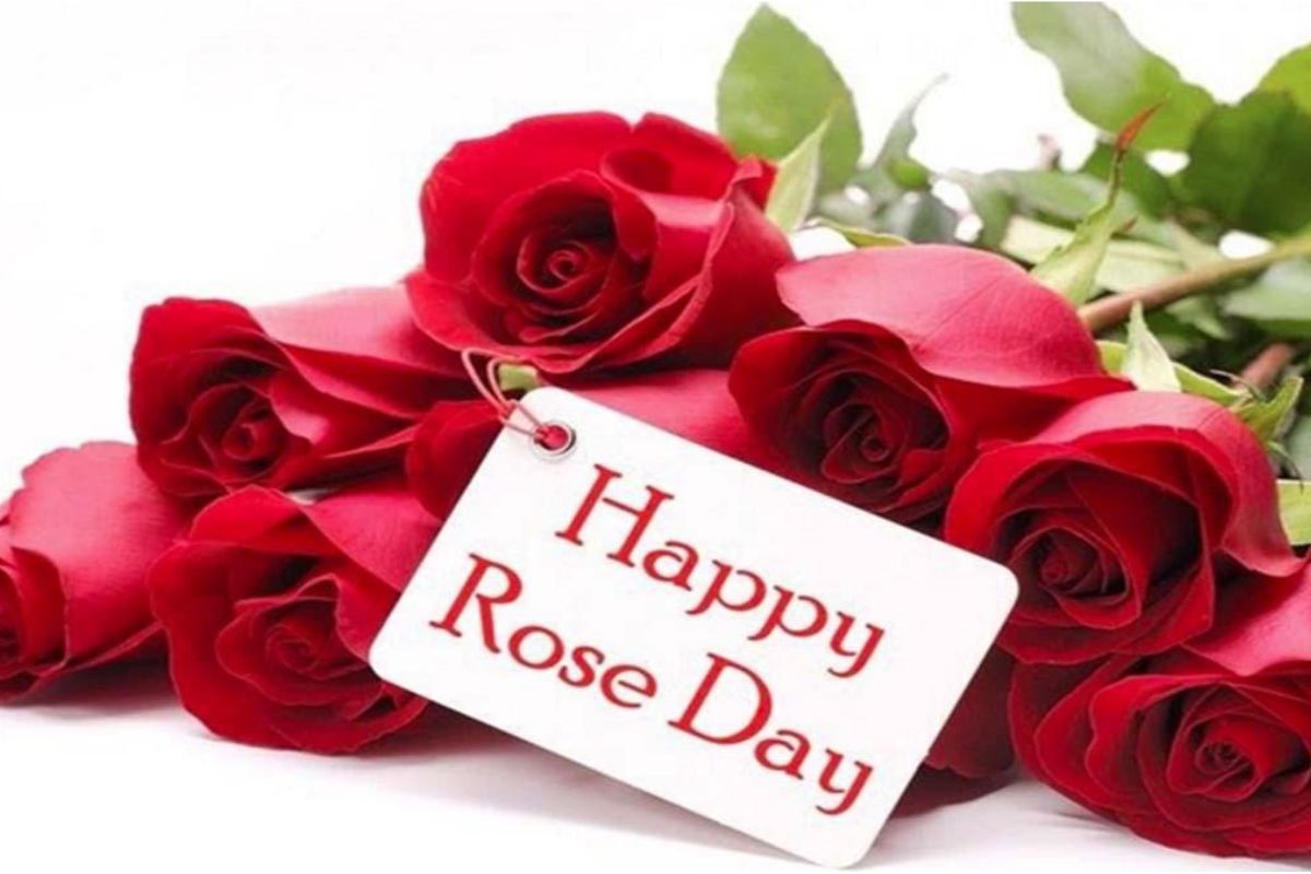 Rose Day: The season of love has arrived