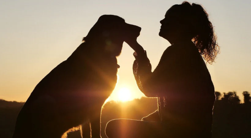 International Dog Day 2025 : If You Are Thinking Of Keeping A Dog At Home, Then know These Important Things Before That