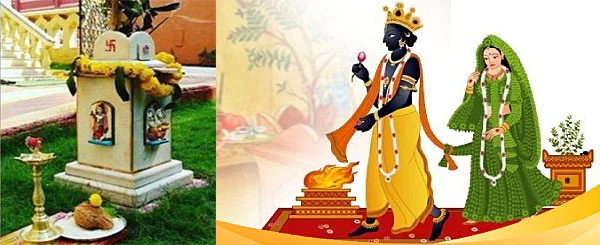 Why Tulsi Vivah Is Celebrated: The Divine Marriage of Lord Vishnu and Goddess Tulsi