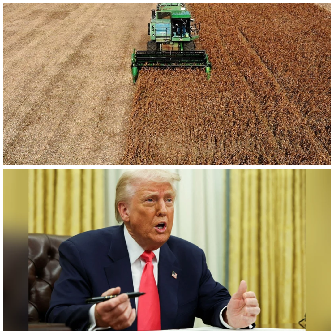 New Tariffs on Indian Rice, Canadian Fertilizer Possible, Trump Says; $12B Aid Rolled Out