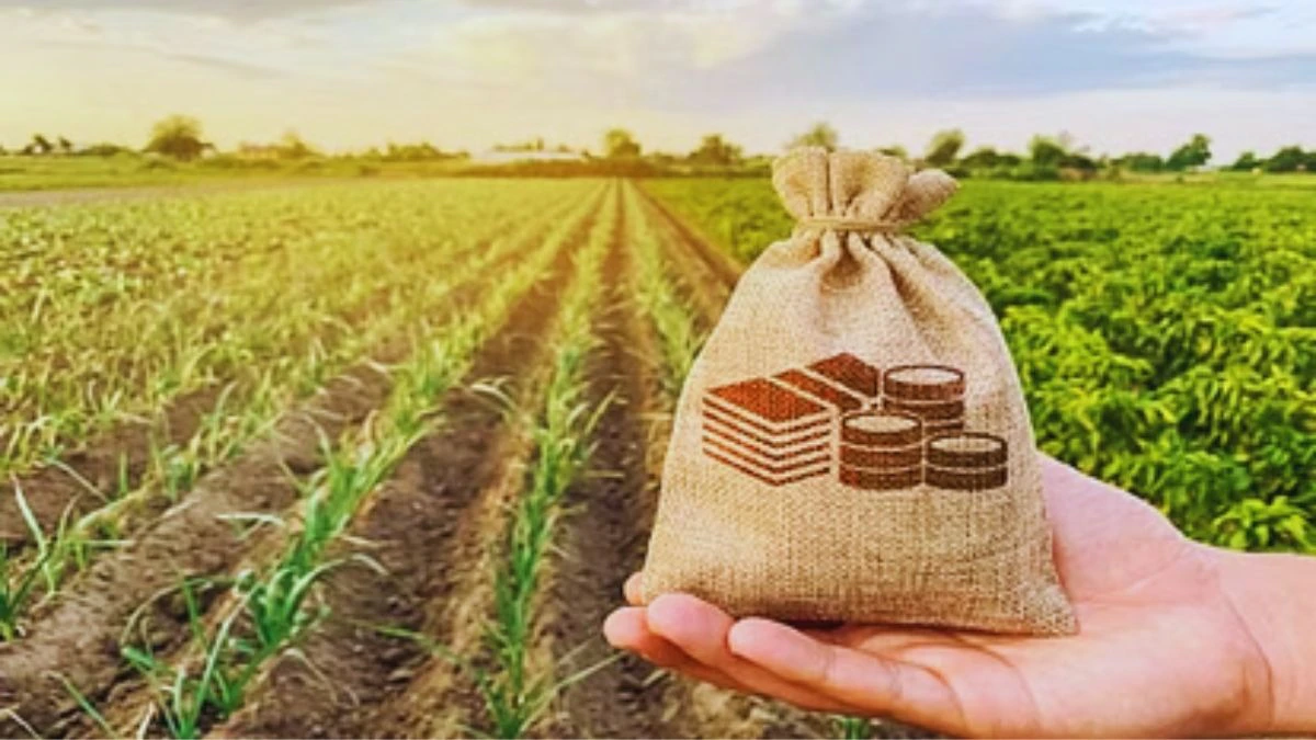 Union Budget 2026 : Steps Announced By Govt To Increase Farmers Income