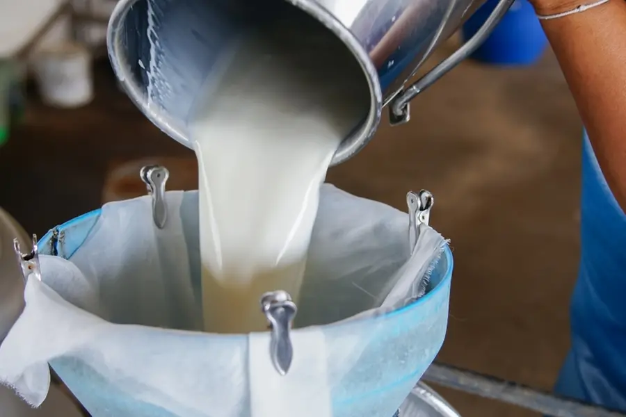 FSSAI Makes License Mandatory for Milk Production and Sale