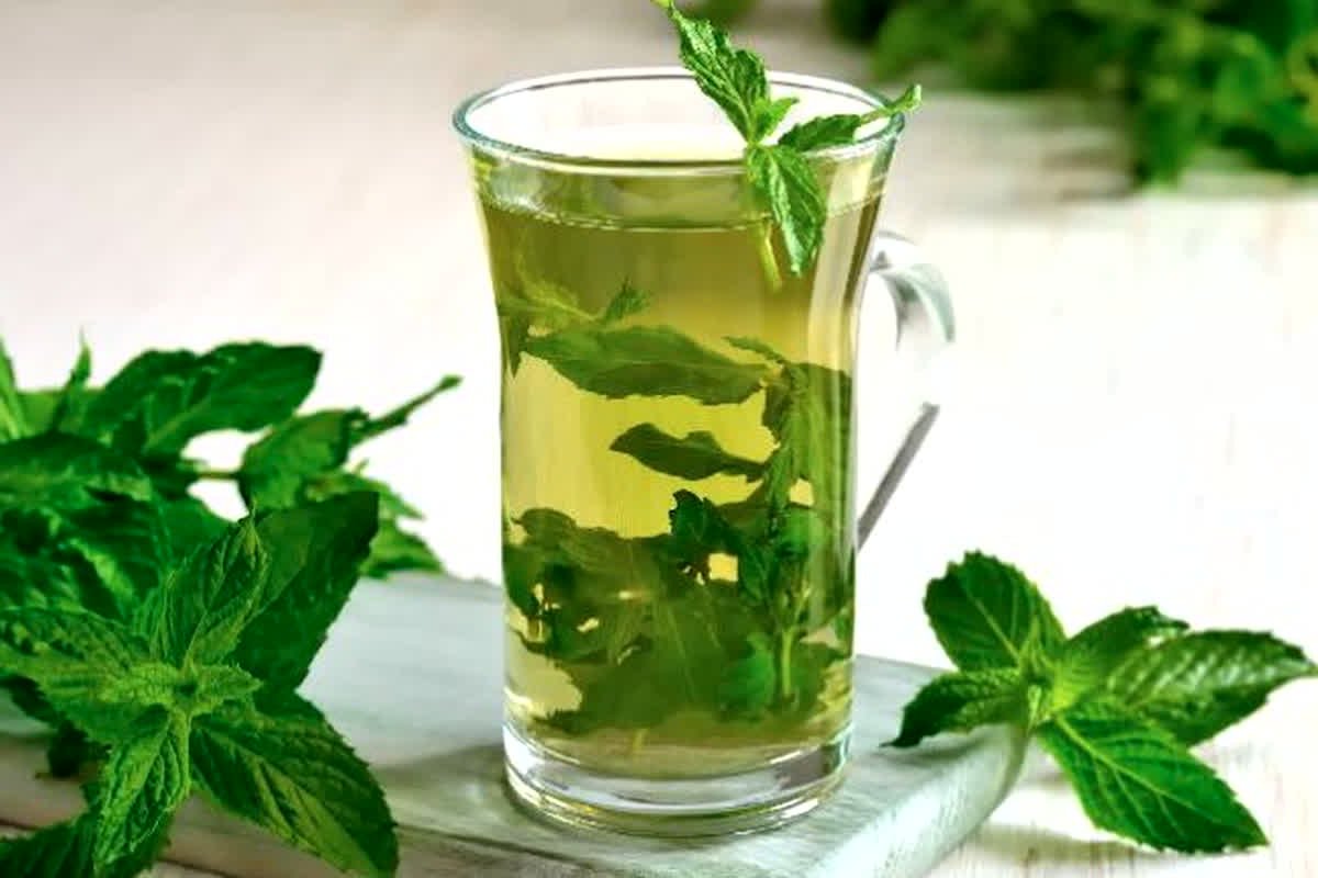 Health Benefits Of Mint Water: Natural Remedy for Gas, Bloating, and Heat
