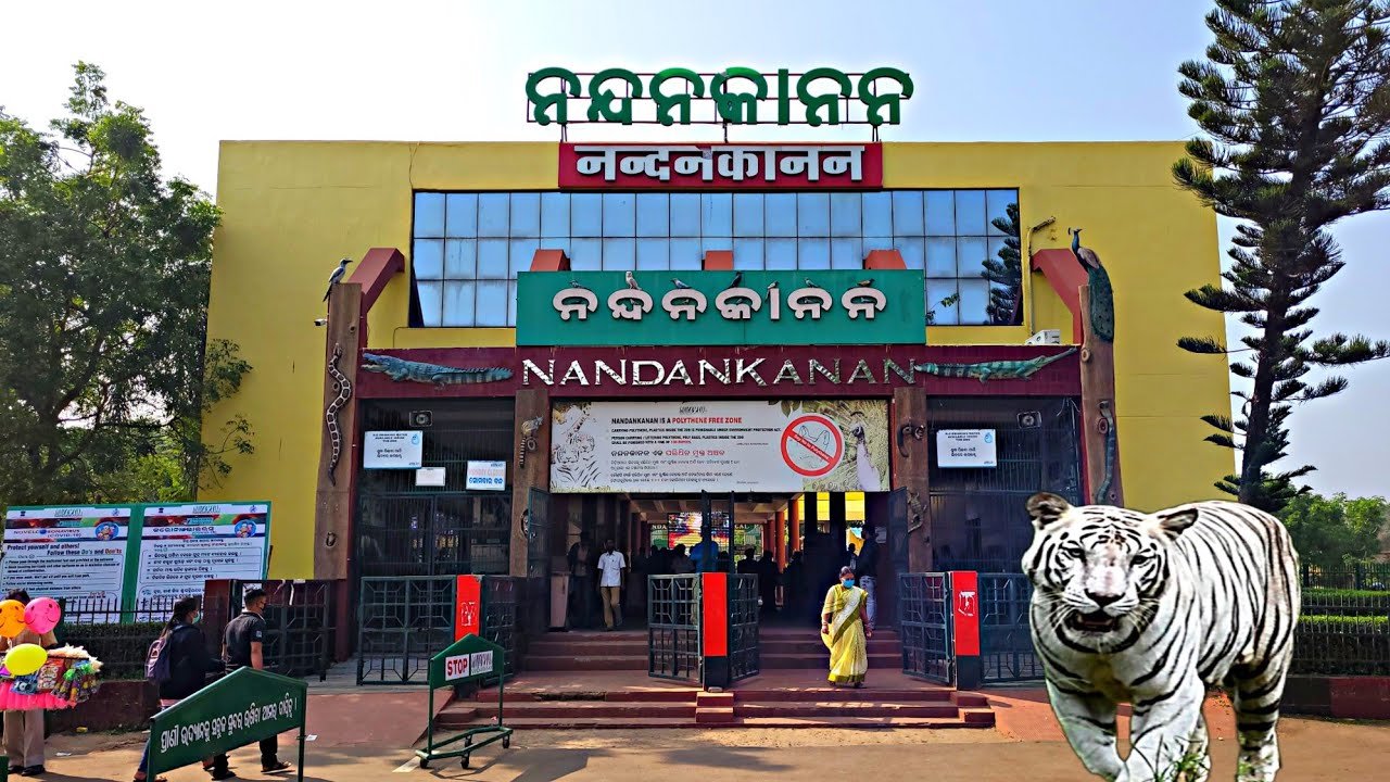 Nandankanan Opening And Closing Times Changed, Zoo Will Open For 10 Hours From Today